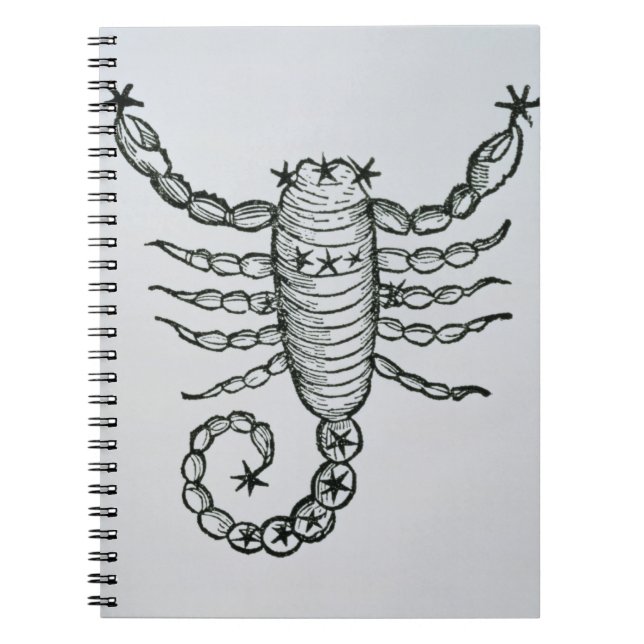 Carnet Scorpion (le scorpion) une illustration du 'P (Devant)