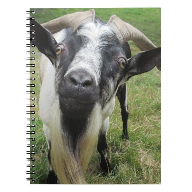 Carnet Se renseigner sur les esprits (Devant)