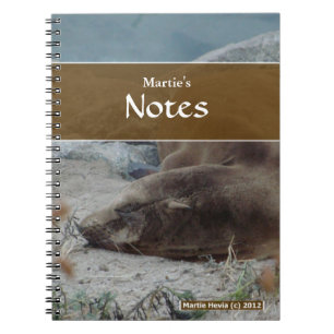 Carnet Sea Lion
