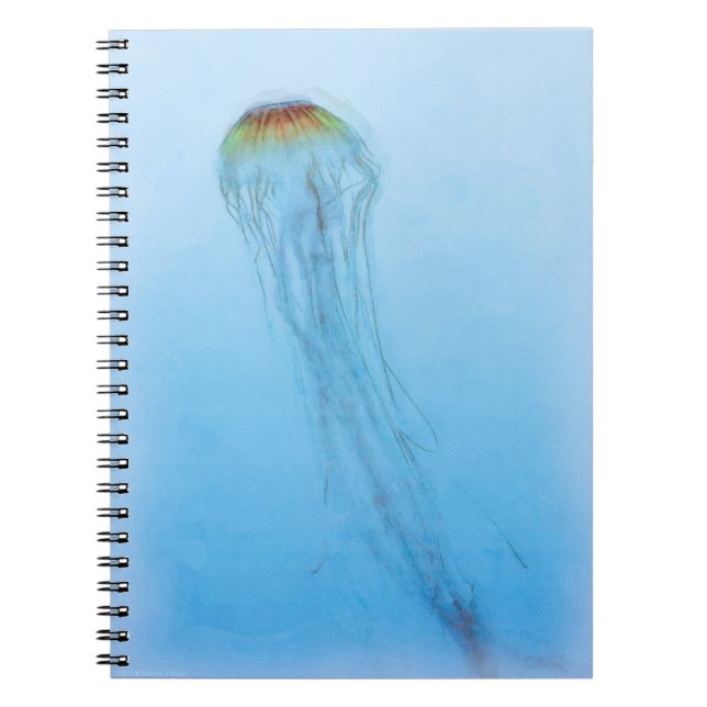 Carnet Sea Nettle (Devant)