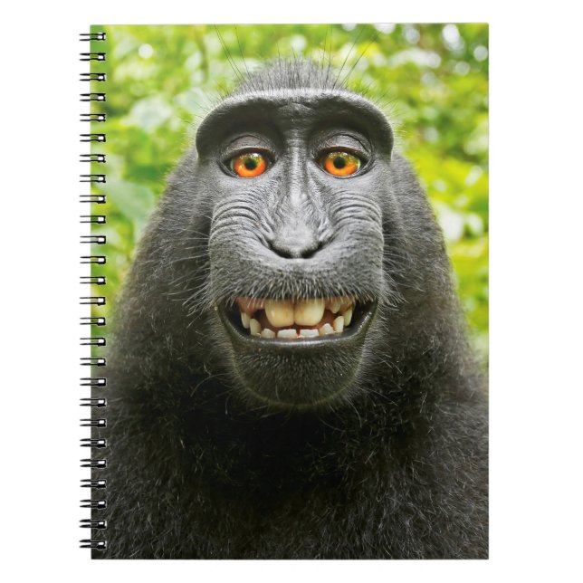 Carnet Selfie singe (Devant)