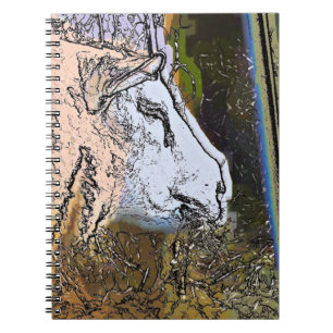 CARNET SHEEP