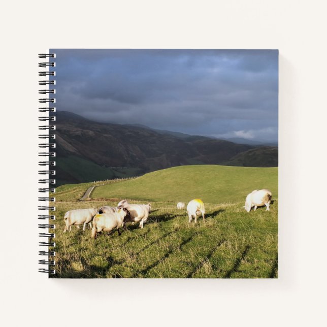 CARNET SHEEP DE MONTAGNE (Devant)