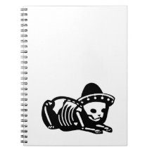 Sièste squelettique de chat