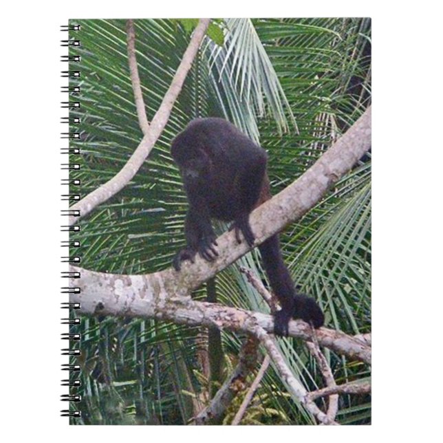 Carnet Singe d'hurleur et singe de bébé en jungle du (Devant)