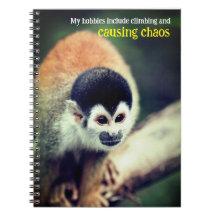 Singe écureuil dans l'arbre