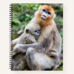 Carnet Singe roux à nez retroussé avec bébé