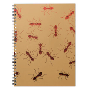 Carnet Singeries de fourmi