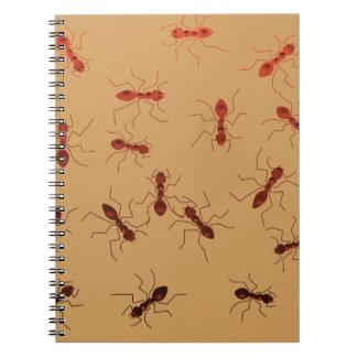 Carnet Singeries de fourmi