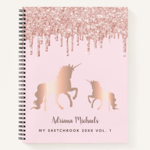 Carnet Sketchbook unicorn rose or parties scintillant dri