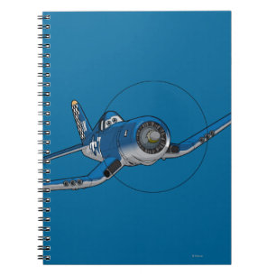 Carnet Skipper 4