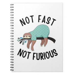 Carnet Sloth Pas Rapide Pas Furieux