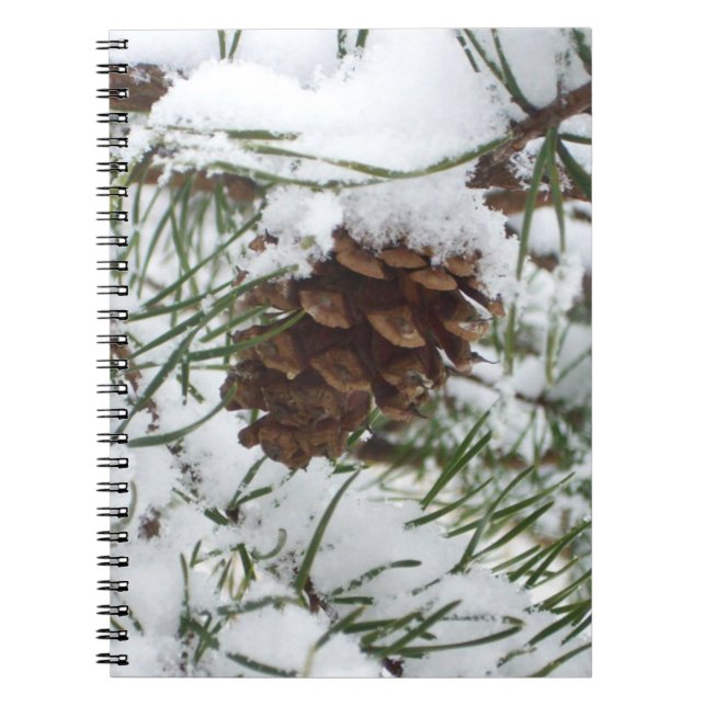 Carnet Snowy Pine Cone I (Devant)