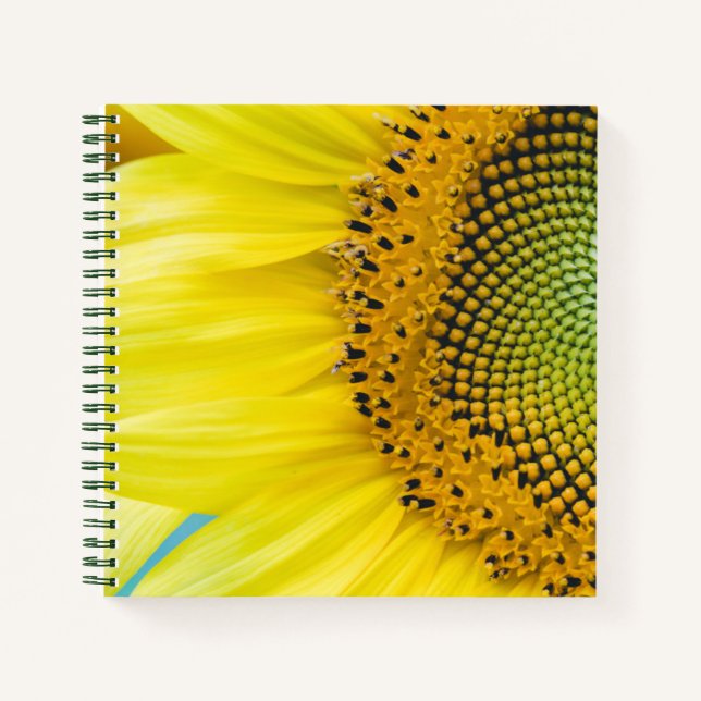 Carnet Soleil brillant (Devant)