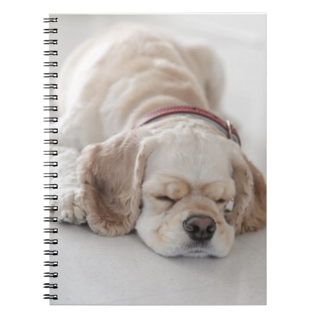 Carnet Sommeil de chien de cocker (Devant)
