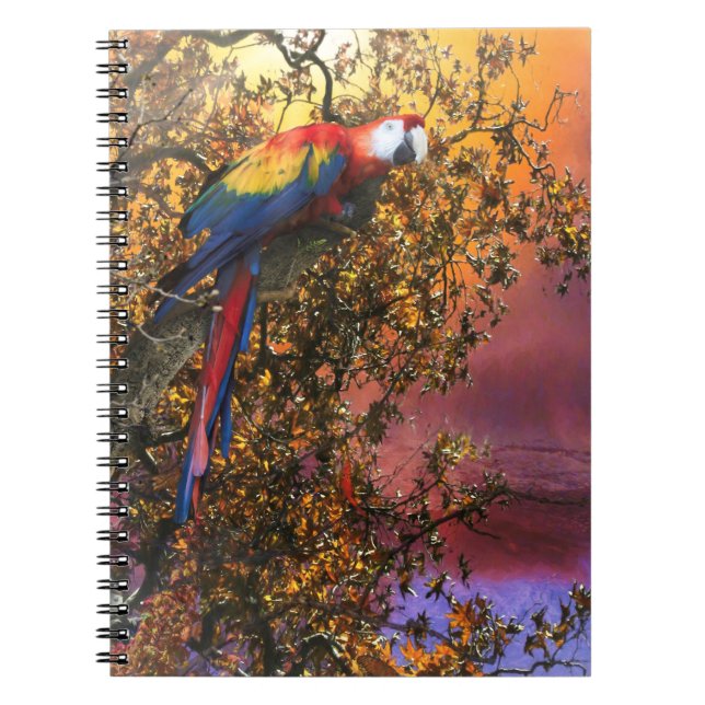 CARNET SORTIE DE LA FORÊT DE MACAT PARROT (Devant)
