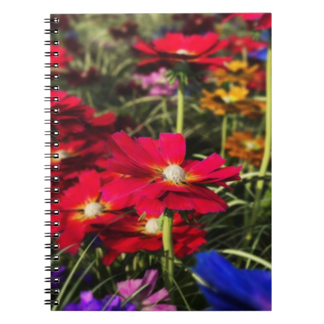 Carnet source Iridescente (Devant)