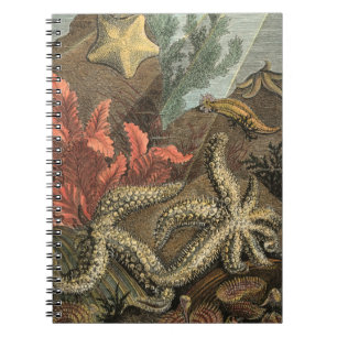 Carnet Sous la mer