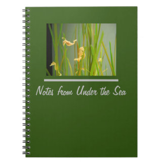 Carnet Sous les hippodromes marins