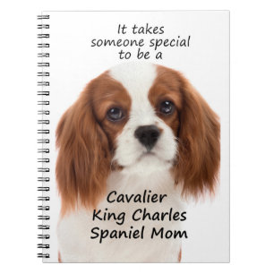 Carnet Spaniel