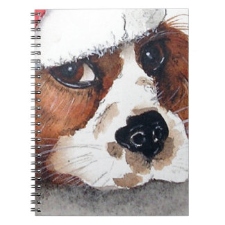 Carnet Spaniel puppy