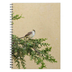 Carnet Sparrow
