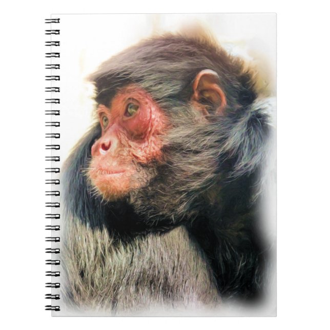 CARNET SPIDER MONKEY (Devant)