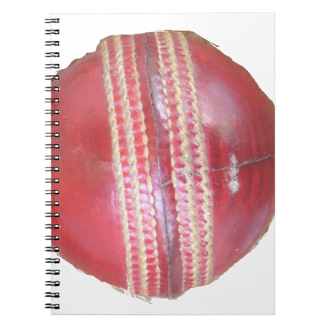 Carnet Spin Master's Sphere : Une balle de cricket à gauc (Devant)