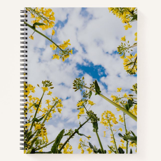 Carnet spiral (Devant)