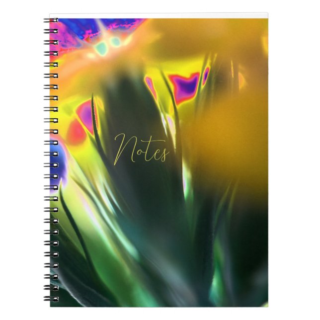Carnet spiral (Devant)