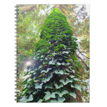 Carnet spiral