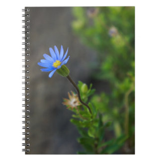 Carnet spiral à fleurs bleues