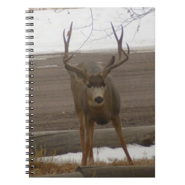 Carnet Spiral Buck (Devant)