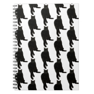 Carnet spiral de chat noir