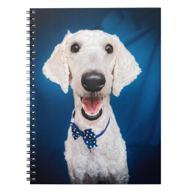 Carnet Spiral De Poodle Souriant (Devant)