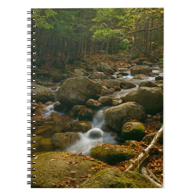 Carnet spiral en cascade (Devant)
