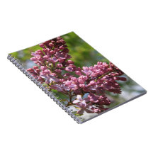 Carnet spiral Lilacs en fleurs