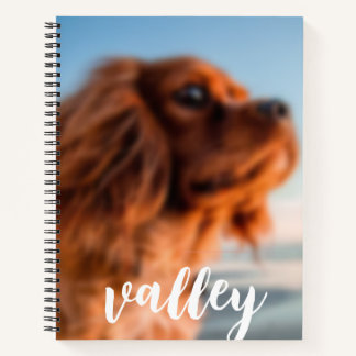 Carnet Spiral Notebook