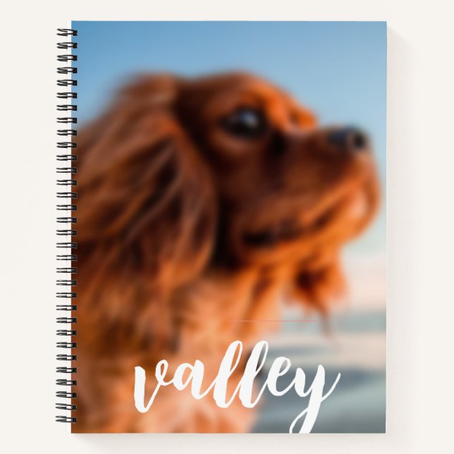 Carnet Spiral Notebook (Devant)