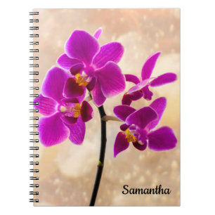 Carnet spiral pourpre orchidée
