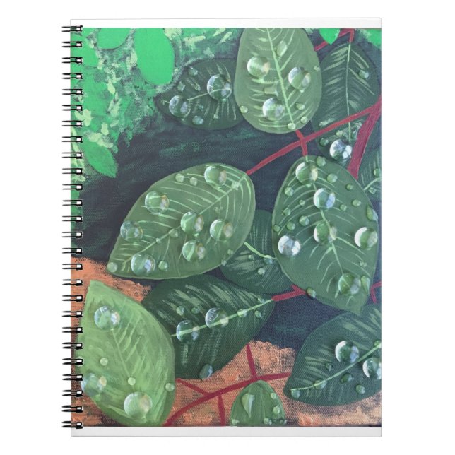 carnet Spiral "Raindrops" (Devant)