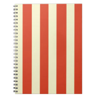 Carnet spiral rétro grand haut rayé