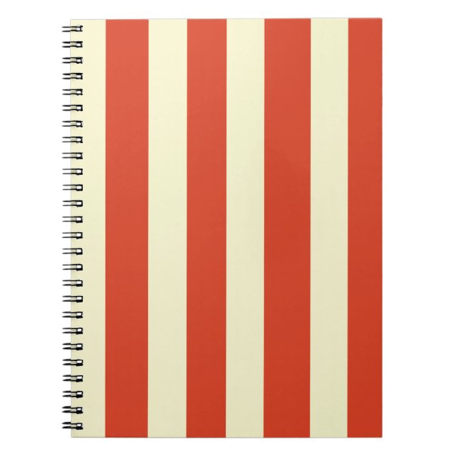 Carnet spiral rétro grand haut rayé (Devant)