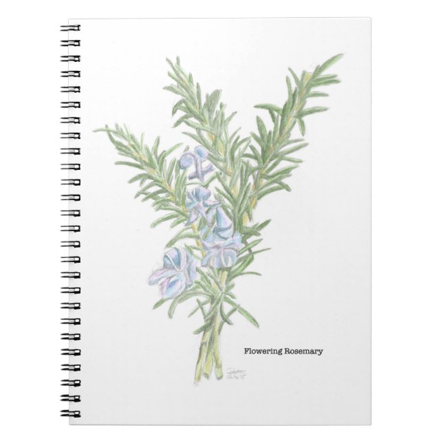 Carnet spiral romarin (Devant)