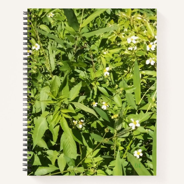 Carnet Spiral vert verdoyant (Devant)