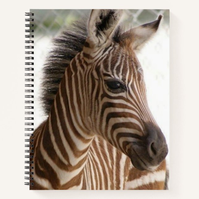Carnet spiral Zebra (Devant)