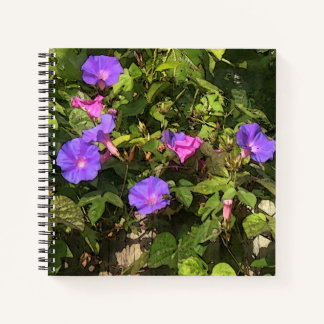 Carnet spirale Aquarelle Matin Glories Design