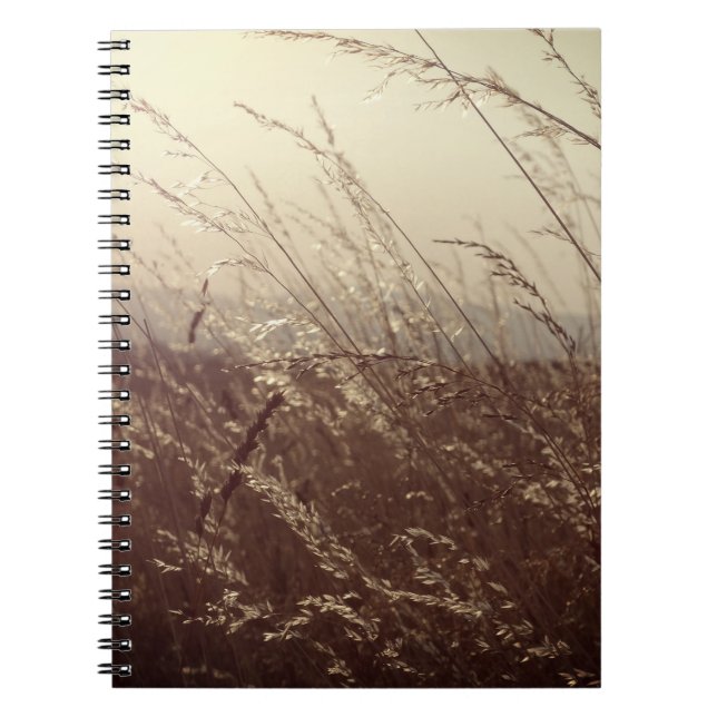 Carnet spiralé champ d'herbe (Devant)