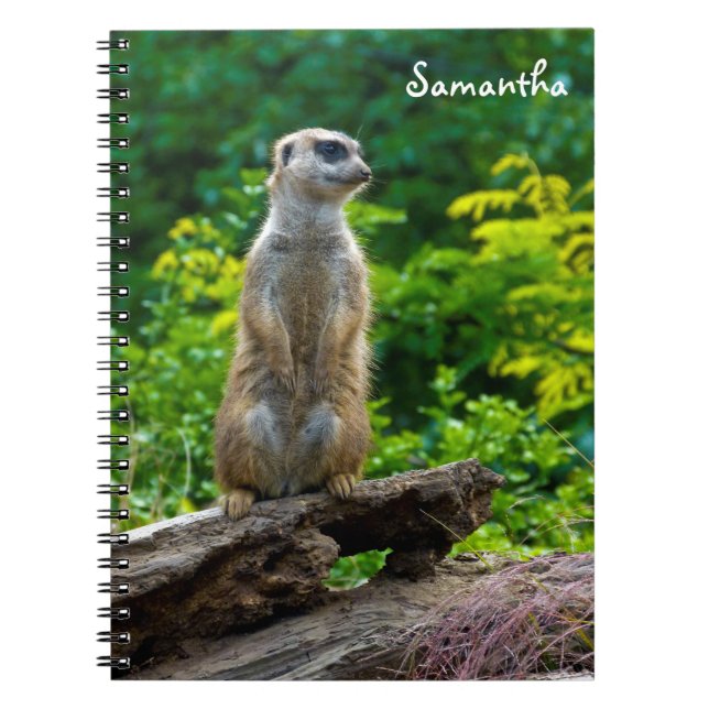 Carnet spiralé de suricate (Devant)