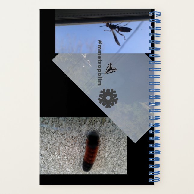 Carnet spirale/INSECTES/MÉTROPOLIME CONCEPTION Not (Verso)